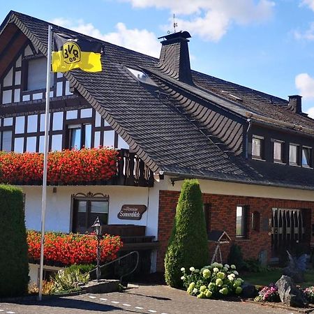 Pension Sonnenblick Winterberg Exterior foto